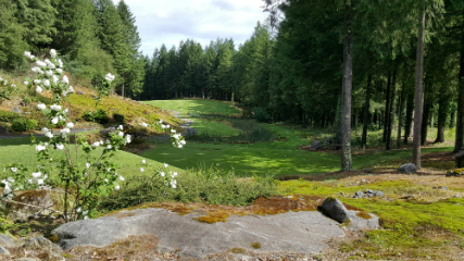 1ère Division de Ligue mid-amateur dames
