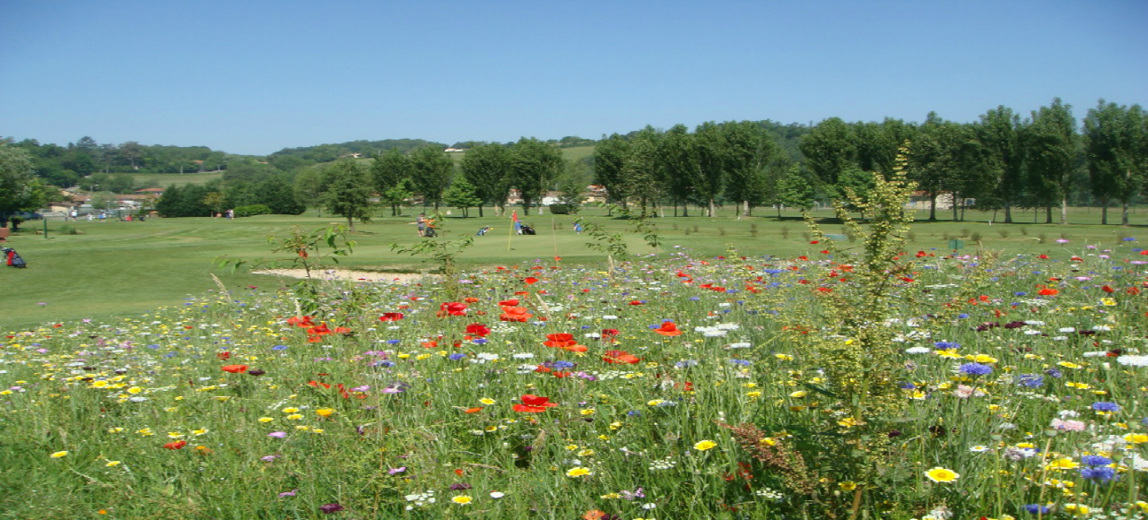 Golf de Salies du Salat - 31